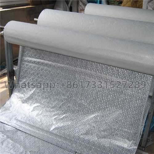 Cubierta de coche 100% impermeable